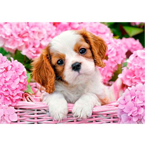 Castorland puslespil - Hundehvalp i blomster