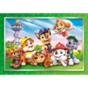 Disney puslespil Paw Patrol Ruff Rescue - 60 brikker