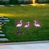 Solcellebelysning flamingoer - 3'er sæt