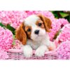 Castorland puslespil - Hundehvalp i blomster