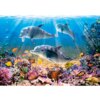Castorland puslespil - Dolphins Underwater