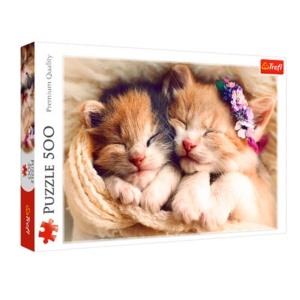 Sovende katte puslespil 500 brikker